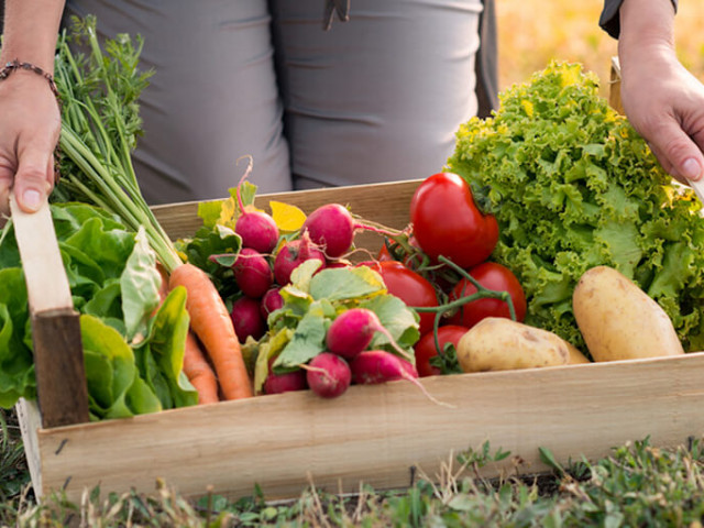 Почему фермерские продукты полезнее: 5 причин выбирать натуральное